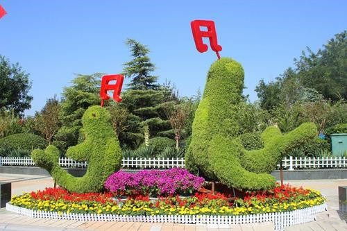 成都五色草雕塑專業(yè)定制廠家 五色草綠雕造型可來(lái)圖定制保質(zhì)保量